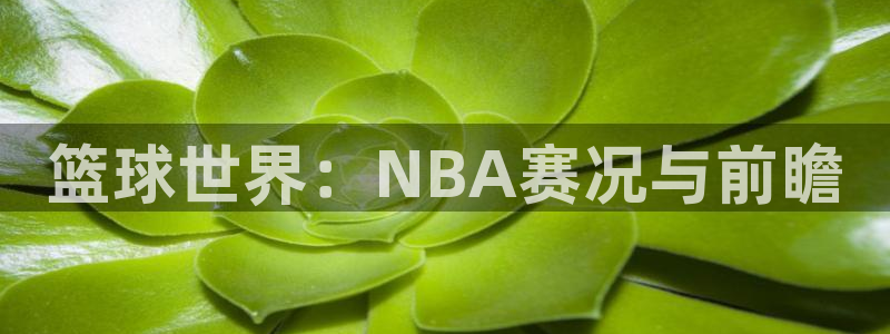 篮球世界：NBA赛况与前瞻