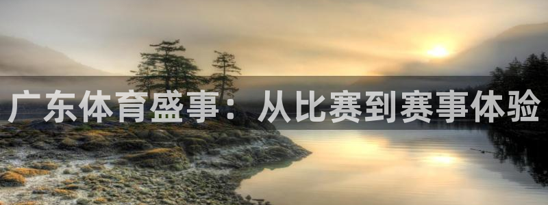 广东体育盛事：从比赛到赛事体验