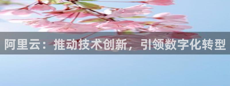 阿里云：推动技术创新，引领数字化转型