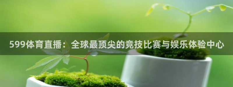 599体育直播：全球最顶尖的竞技比赛与娱乐体验中心