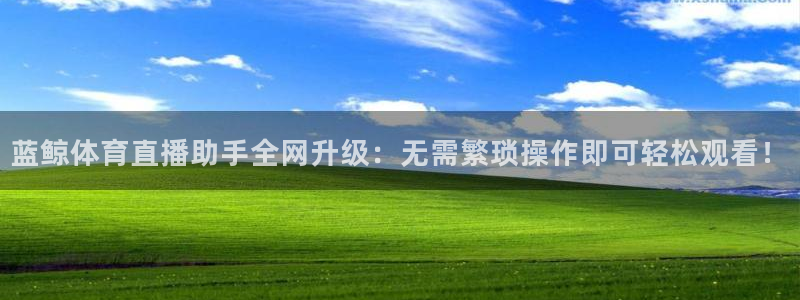 蓝鲸体育直播助手全网升级：无需繁琐操作即可轻松观看！