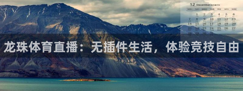 龙珠体育直播：无插件生活，体验竞技自由