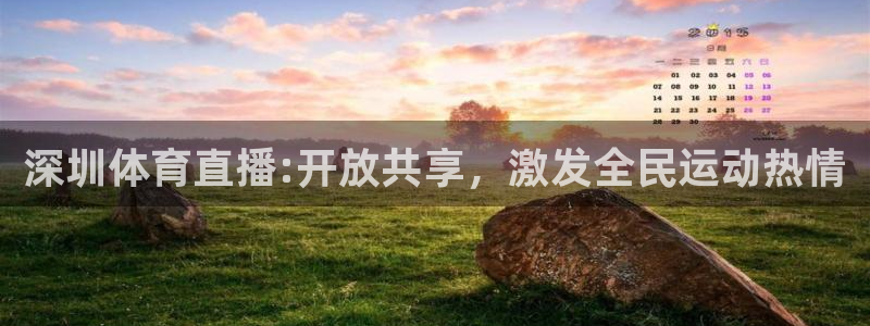 深圳体育直播:开放共享，激发全民运动热情