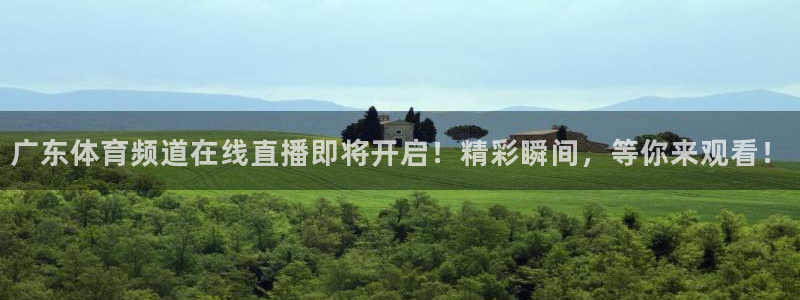 广东体育频道在线直播即将开启！精彩瞬间，等你来观看！