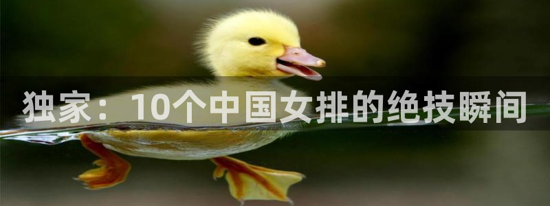 独家：10个中国女排的绝技瞬间
