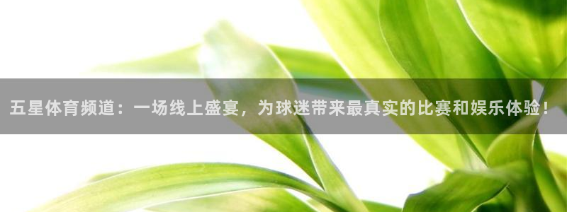 五星体育频道：一场线上盛宴，为球迷带来最真实的比赛和娱乐体验！