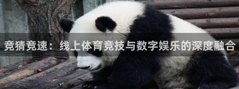 竞猜竞速：线上体育竞技与数字娱乐的深度融合