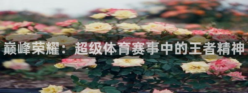 巅峰荣耀：超级体育赛事中的王者精神