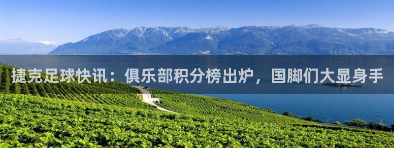 捷克足球快讯：俱乐部积分榜出炉，国脚们大显身手