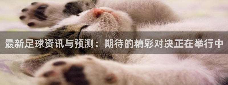 最新足球资讯与预测：期待的精彩对决正在举行中