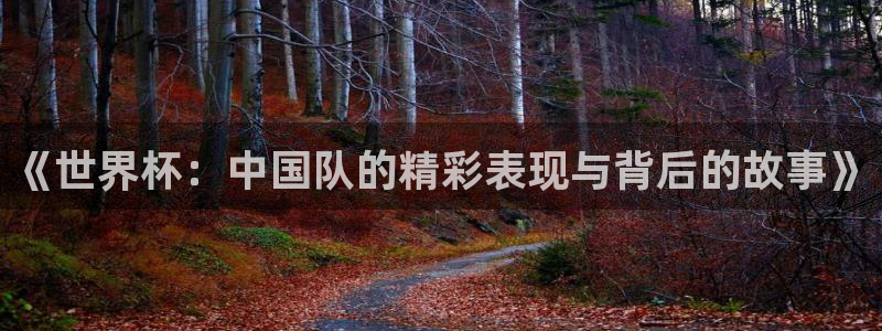 《世界杯：中国队的精彩表现与背后的故事》