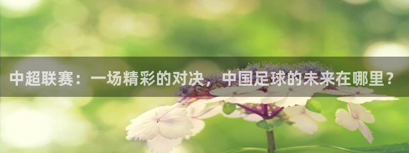 中超联赛：一场精彩的对决，中国足球的未来在哪里？