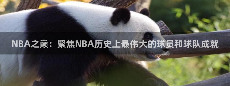 NBA之巅：聚焦NBA历史上最伟大的球员和球队成就