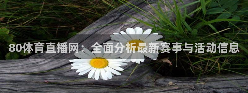 80体育直播网：全面分析最新赛事与活动信息