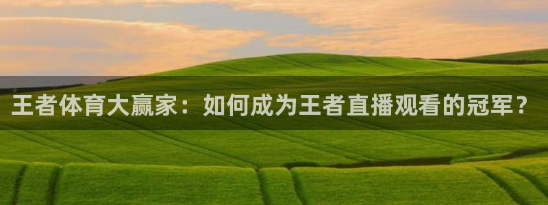 王者体育大赢家：如何成为王者直播观看的冠军？