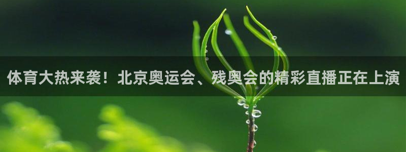 体育大热来袭！北京奥运会、残奥会的精彩直播正在上演