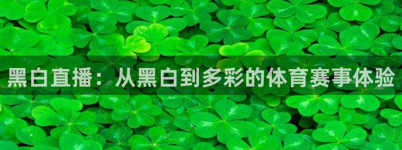 黑白直播：从黑白到多彩的体育赛事体验