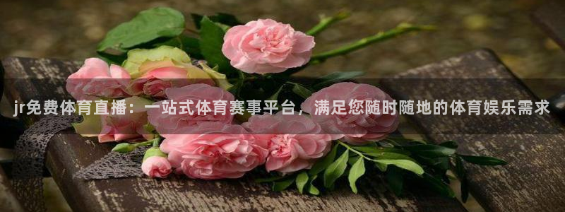 jr免费体育直播：一站式体育赛事平台，满足您随时随地的体育娱乐需求