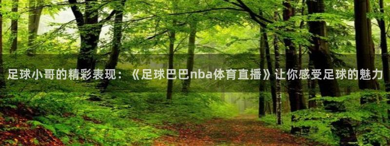 足球小哥的精彩表现：《足球巴巴nba体育直播》让你感受足球的魅力
