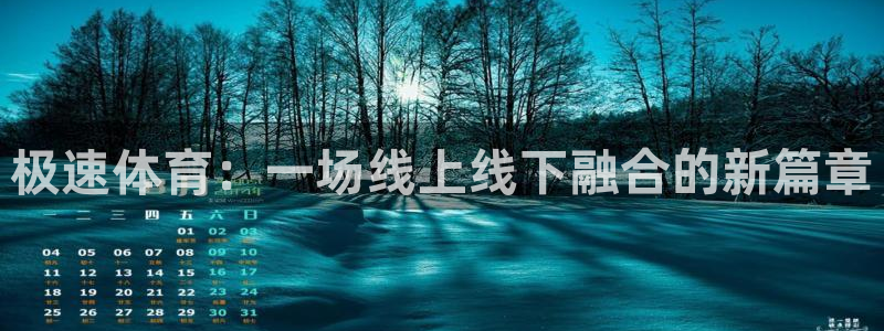 极速体育：一场线上线下融合的新篇章