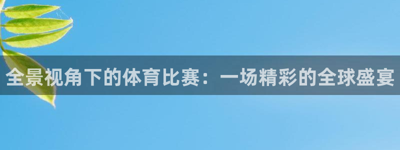 全景视角下的体育比赛：一场精彩的全球盛宴