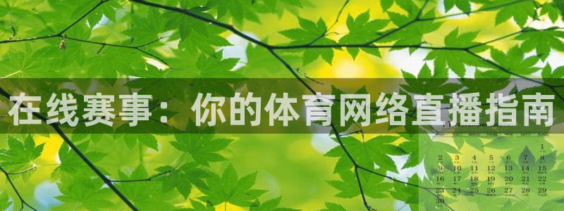 在线赛事：你的体育网络直播指南
