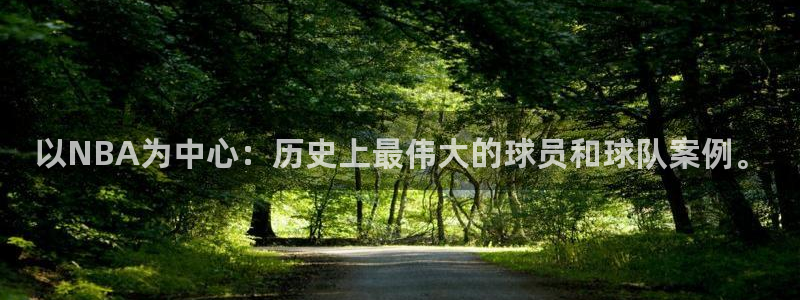 以NBA为中心：历史上最伟大的球员和球队案例。
