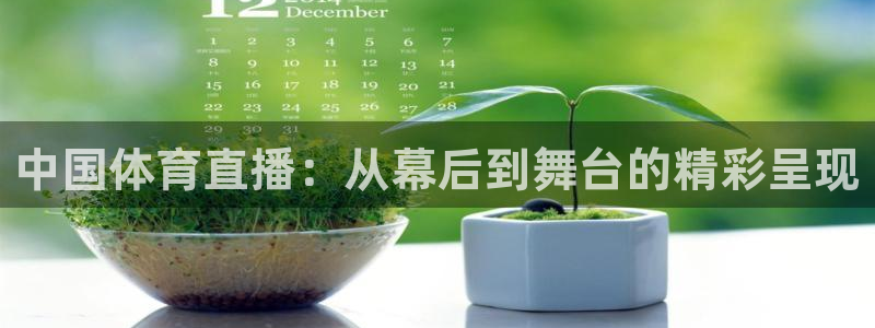 中国体育直播：从幕后到舞台的精彩呈现