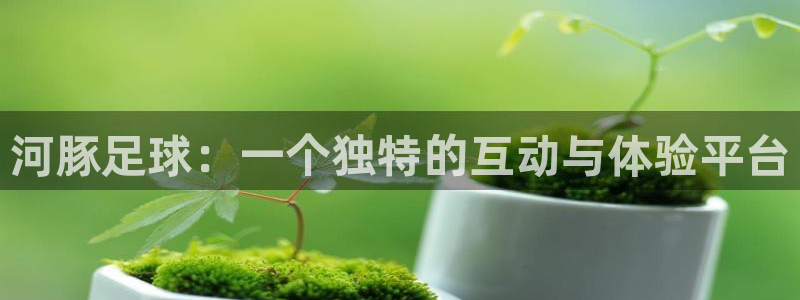 河豚足球：一个独特的互动与体验平台