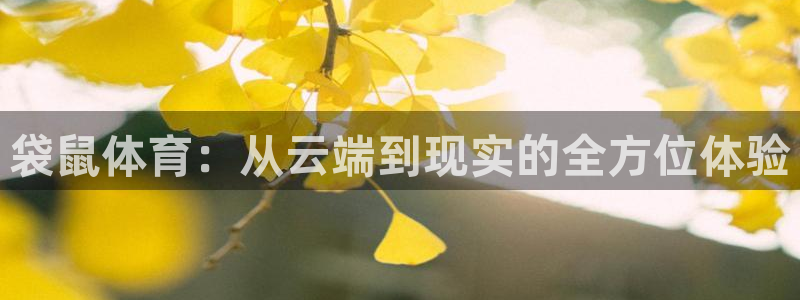袋鼠体育：从云端到现实的全方位体验