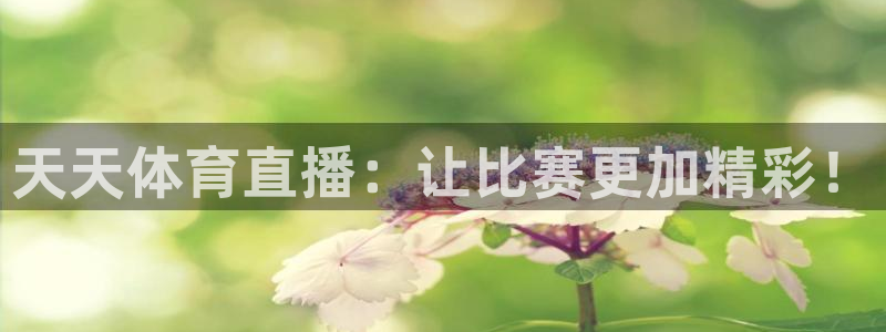 天天体育直播：让比赛更加精彩！