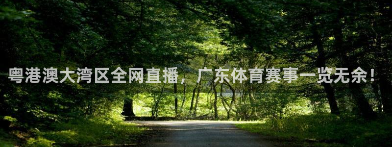 粤港澳大湾区全网直播，广东体育赛事一览无余！