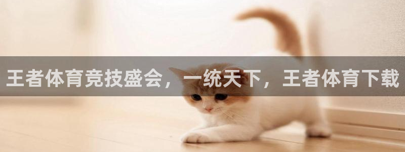 王者体育竞技盛会，一统天下，王者体育下载