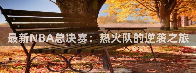 最新NBA总决赛：热火队的逆袭之旅