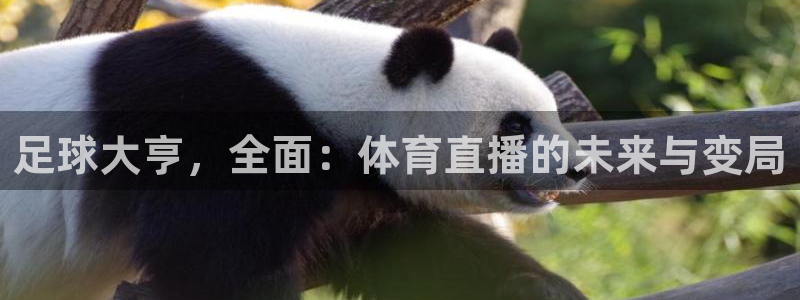 足球大亨，全面：体育直播的未来与变局