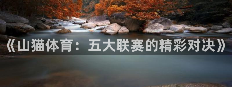 《山猫体育：五大联赛的精彩对决》