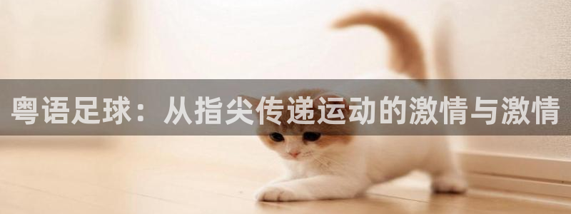 粤语足球：从指尖传递运动的激情与激情