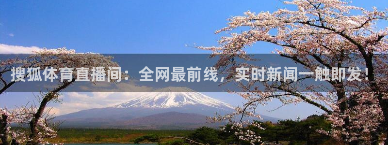 搜狐体育直播间：全网最前线，实时新闻一触即发！