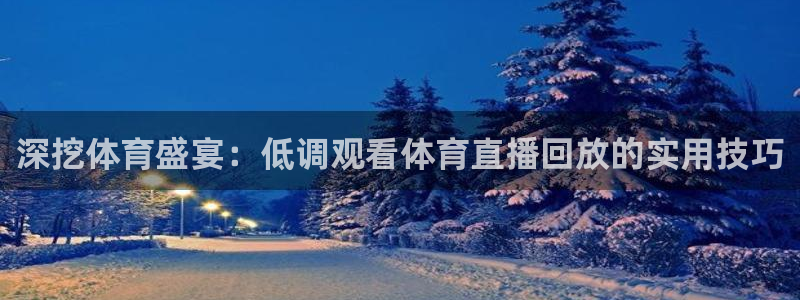 深挖体育盛宴：低调观看体育直播回放的实用技巧