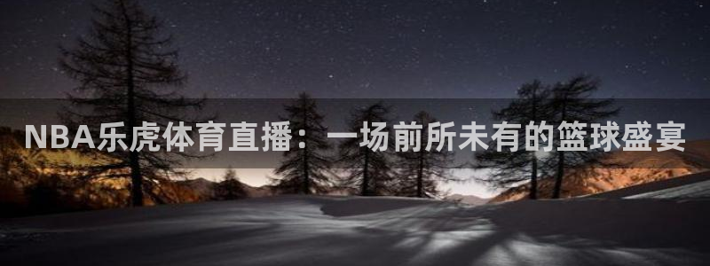 NBA乐虎体育直播：一场前所未有的篮球盛宴