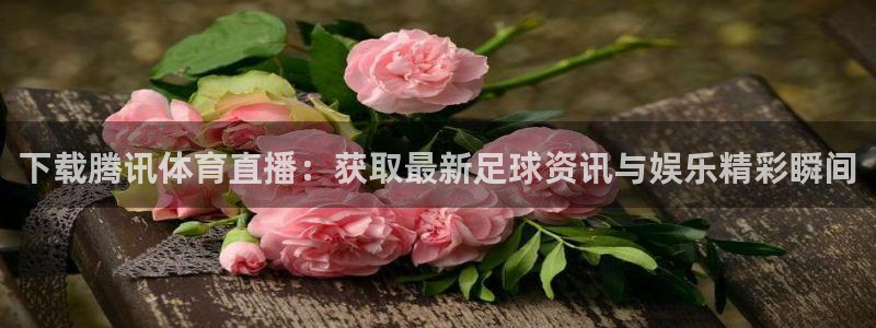 下载腾讯体育直播：获取最新足球资讯与娱乐精彩瞬间
