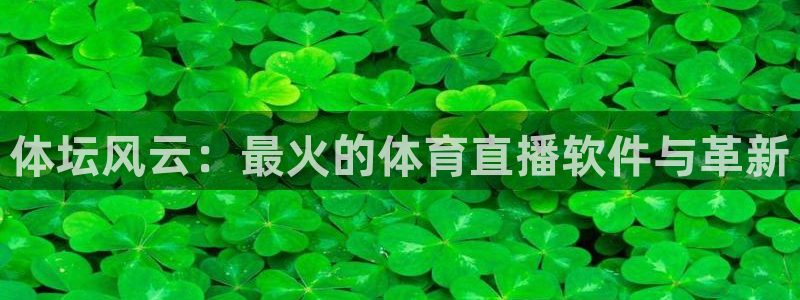 体坛风云：最火的体育直播软件与革新