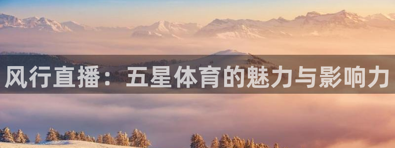 风行直播：五星体育的魅力与影响力