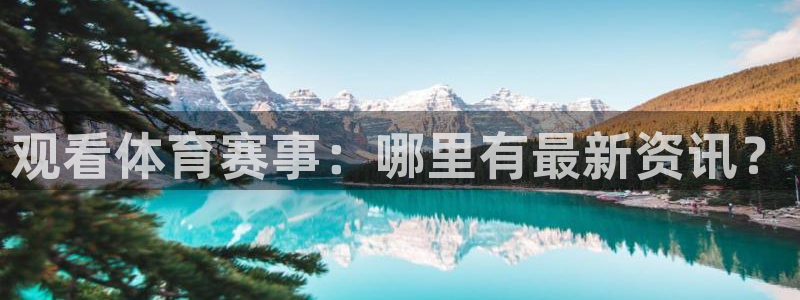 观看体育赛事：哪里有最新资讯？