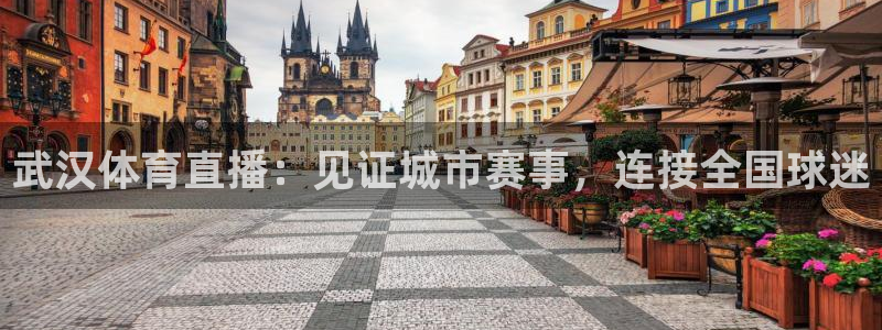 武汉体育直播：见证城市赛事，连接全国球迷