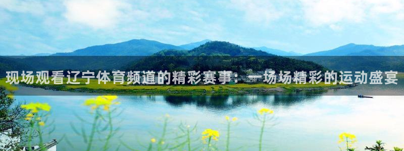 现场观看辽宁体育频道的精彩赛事：一场场精彩的运动盛宴