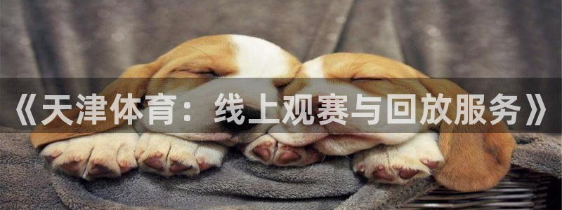 《天津体育：线上观赛与回放服务》