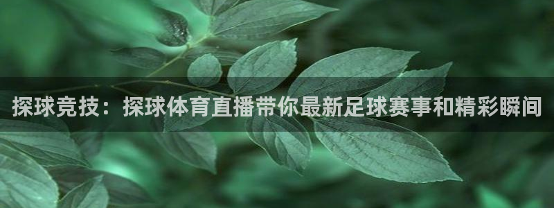 探球竞技：探球体育直播带你最新足球赛事和精彩瞬间