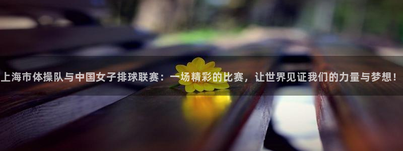 上海市体操队与中国女子排球联赛：一场精彩的比赛，让世界见证我们的力量与梦想！