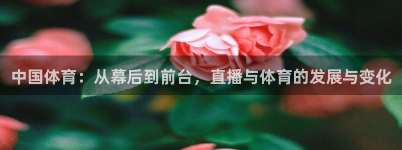 中国体育：从幕后到前台，直播与体育的发展与变化